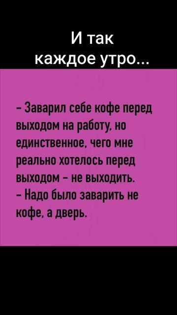 И так каждое утро...