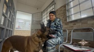 Ирина Волк: В Санкт-Петербурге полицейский-кинолог и служебная собака нашли потерявшегося ребенка