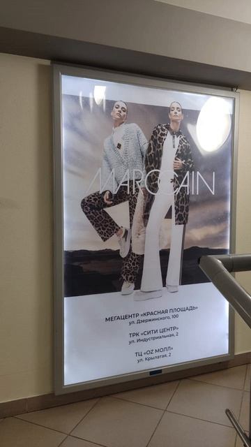 Проекты декабря