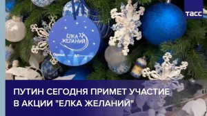 Путин сегодня примет участие в акции "Елка желаний"