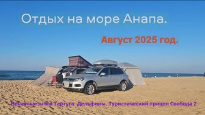 Отдых на море Анапа. Август 2025 год. Пляж Тортуга. Дельфины Туристический прицеп Свобода 2