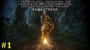Dark Souls Remastered Прохождение ► Вспомним былое, стрим #1