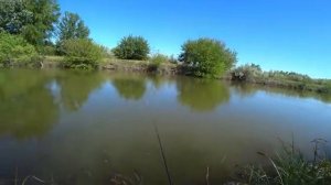 ЭТО НЕ РЫБАЛКА, А ЖОР КАКОЙ-ТО. Ловля крупного карася. Поплавок крупным планом