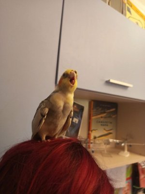 вызываем Чарли