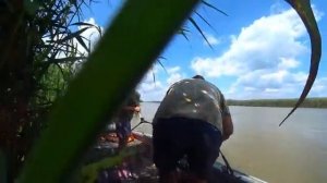 РЫБАЛКА НА СОМА И САЗАНА С ЖЕНОЙ. Ловля сома на лягушку, саранчу и червя.