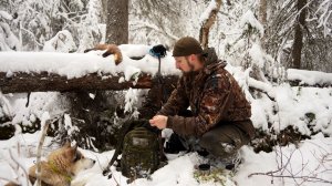 ПОЛГОДА СПУСТЯ В ИЗБУ ГЛУХАРИНУЮ. ТЯЖЁЛЫЕ БУДНИ ОХОТНИКА. ДОБЫВАЕМ ПУШНИНУ С СОБАКОЙ.