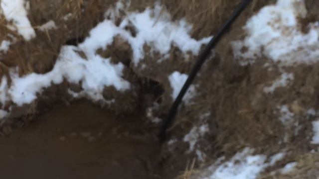 Илососная машина КО 560 _ПримСервис_ СПб