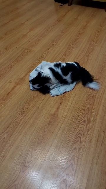 Чистюля Фунтик