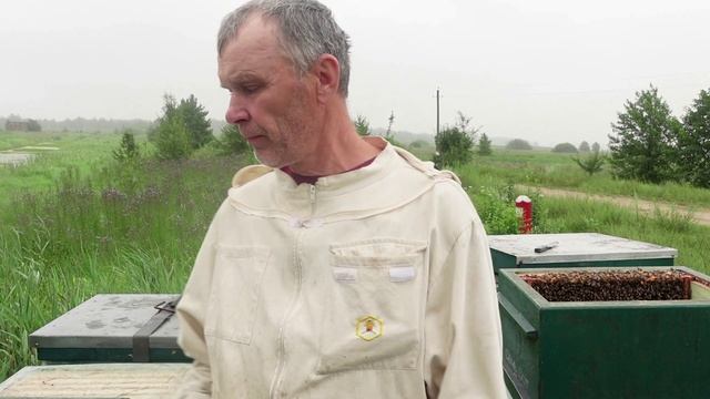 ГДЕ МЕД ? смотреть онлайн