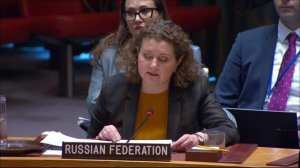 Statement by Anna Evstigneeva at UNSC Briefing on Iraq
