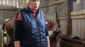 дочь сказала "мама будь в тренде" 👍