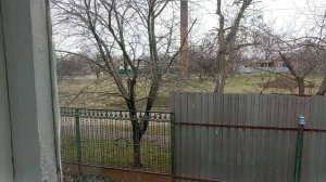 Гренки на обед с повидлом ! Недовяз подследников ! Юг России🪴