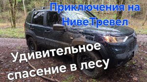Приключения на Ниве Тревел в осеннем лесу. Чудесное спасение на багги.