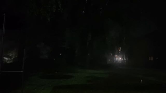 Дом на болоте  Страшные истории  Мистика леса