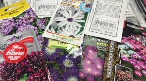 Как  чувствует себя сад в первый день зимы. Какие семена  приобрела.