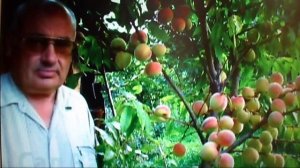 В. Железов ''Новое садоводство для дачников и школьных учителей будущей России'' №28