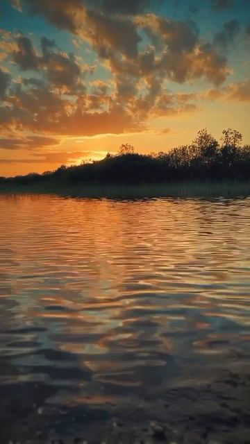 #katyboro #видео #видеооткрытка  #красивоевидео #shortvideo #shorts #short #video #топ #рек #2025