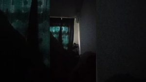 новая трансляция