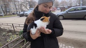 Люди, что вы делаете⁉️ Будьте добрее✅‼️