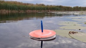 РЫБАЛКА НА КРУЖКИ. ЛОВЛЯ ЖИВЦА НА МОРМЫШКУ. ТАК Я ЕЩЁ НЕ РЫБАЧИЛ!