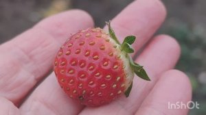 Что изменилось// смотрим //😍😍😍