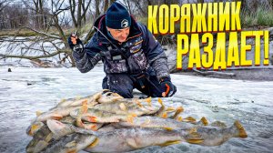 Трудная рыбалка, но интересная! Вскрыли коряжник и началось! Щука, окунь на балансир и мормышку