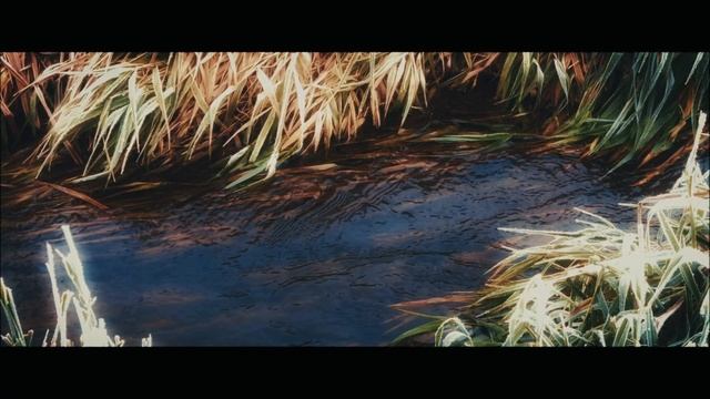 Volodarka | Apple Log Pro Res | Cinematic iPhone 16Pro