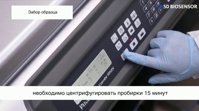 video5296611634305863408