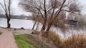 Украина 2 декабря!  Что реально в Киеве сегодня!(Саша)