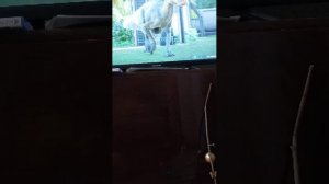 Играем в Джурайсик ворлд эволюшин 2 на PS5