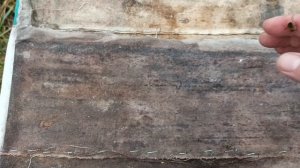 Зимовка нуклеусы на 300