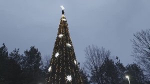 Прогулялись по парку🎄/ Снега всё нет