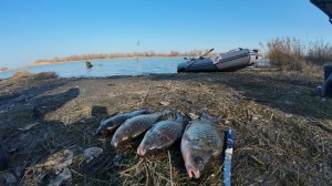 Рыбалка в Астраханской области  ноябрь18 число 2025.