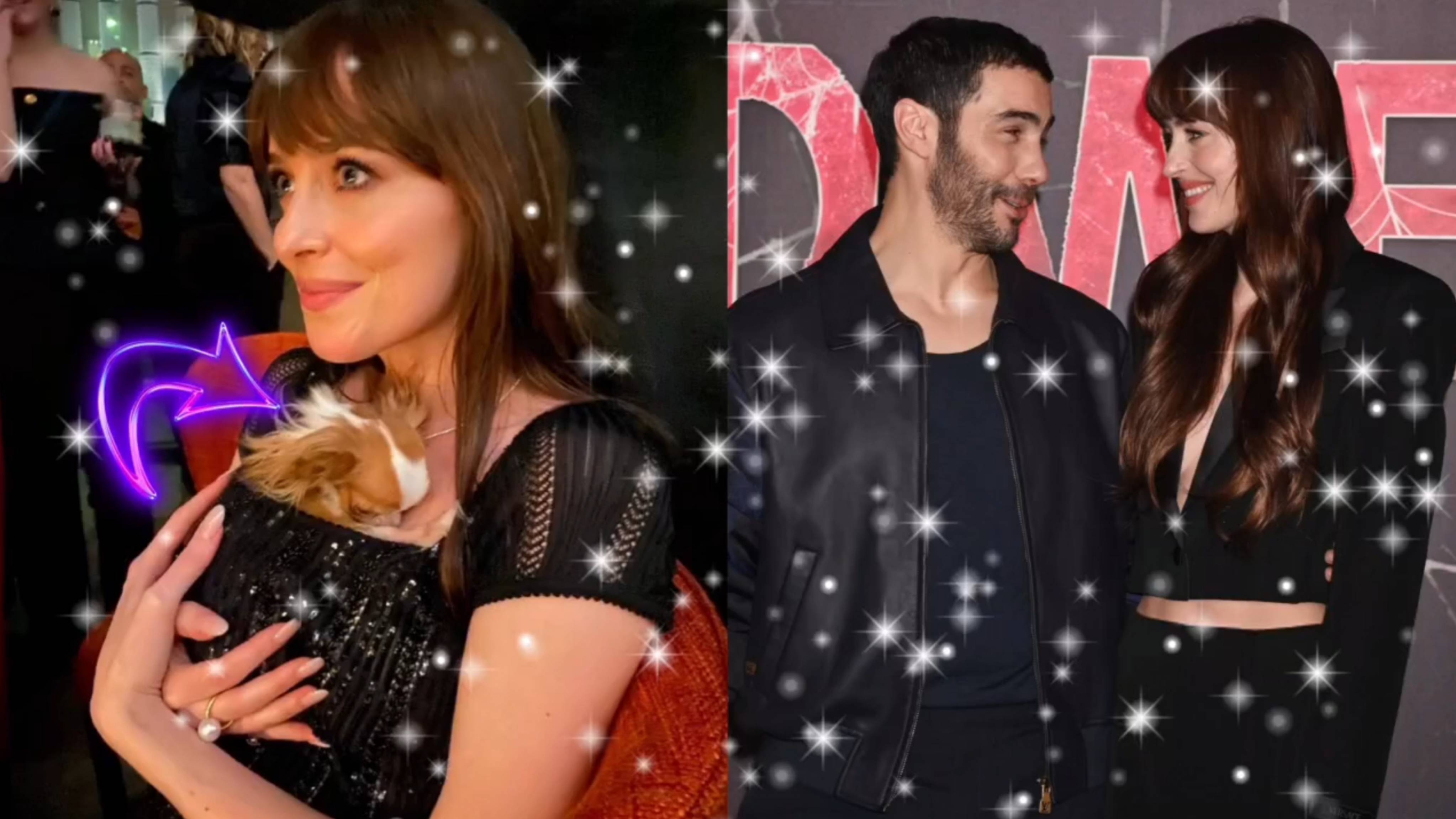 😍 ДАКОТА ДЖОНСОН ДАВНО МЕЧТАЛА СЫГРАТЬ СУПЕР-ГЕРОЯ 🕷️🕸️2024