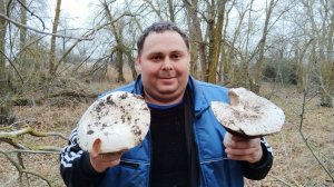 Тихая охота за грибами ШАМПИНЬОНАМИ в Астрахани.