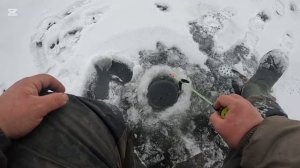 Первый лёд!, открылся для Ютуба 😀🔥😎#первыйлед #окунь #сорога #окуньнамормышку #павлодар