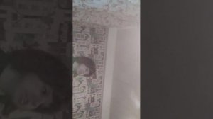 "мега крутой" клип Жертвоприношение Алисы