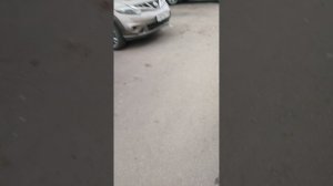 Солярис 1 рестайлинг