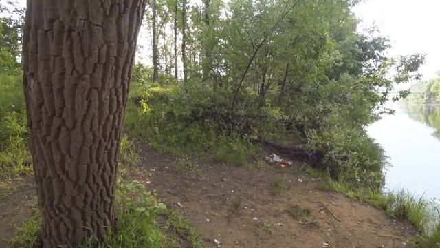 Рыбалка со спиннингом на перекатах в июне ⎮VLOG 070