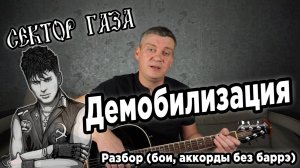Сектор Газа - Демобилизация (для начинающих)