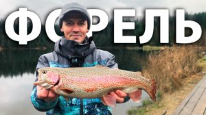 Ловля форели на спиннинг по открытой воде.  Платная рыбалка в РК "Раскаты".