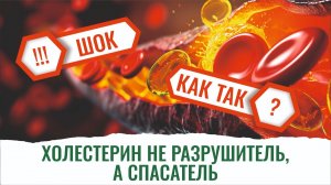 Высокий холестерин? Не беда! Врач Валикова разъясняет, почему.