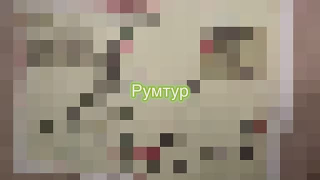 Переславль-Залесский. Румтур