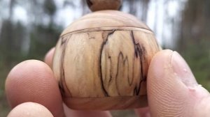 Шкатулка в декабрьском лесу на березе