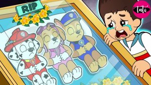 Щенячий патруль и Маршалл. Залипательное видео. Мультфильм для детей и малышей. Анимация