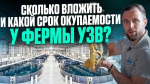 Деньги, Сбыт и Здание для УЗВ. ТОП 10 Вопросов про Ферму УЗВ и Рыбный Бизнес...