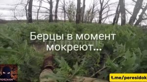 Сухарь засухарился