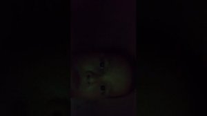 играю в бокс