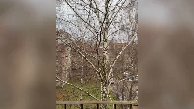 Ччехова, 59 смотреть онлайн