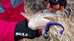 Анонс следующего видео1